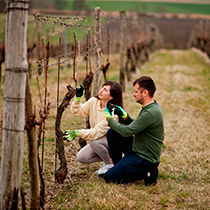 investigacion investigacion